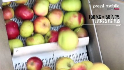 Julien Randoulet - Buvez vos fruits - Drink your fruits ;)