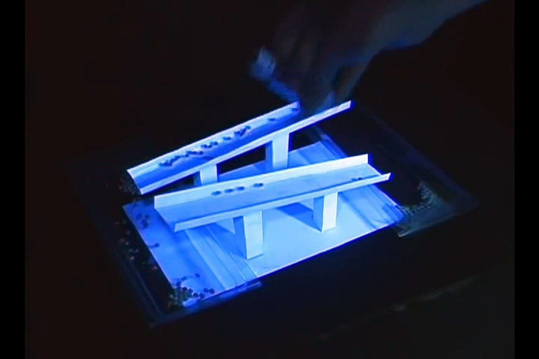 Amazing Anti-Gravity Illusion!