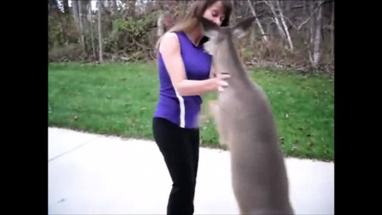 Ella Todos Los Días Sale Al Bosque Para Buscar Algo Que Ni Te Imaginas Para Darle El Desayuno