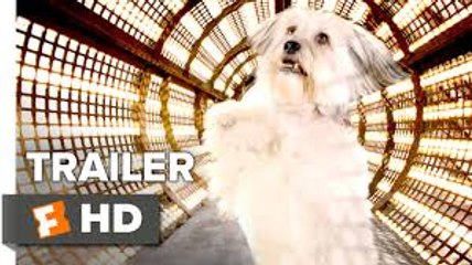 Pudsey the Dog- The Movie International TRAILER 1 (2016) - David Walliams, Olivia Colman Movie HD