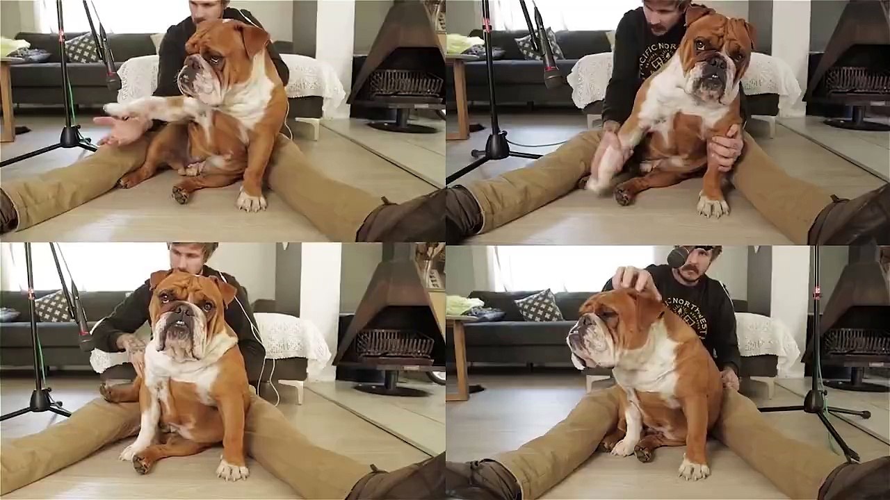 Préfère voir ce mec et son chien que la moitié des Djs là-bas, pour être honnête.