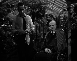 "She tried to sit in my lap while I was standing up" - The Big Sleep