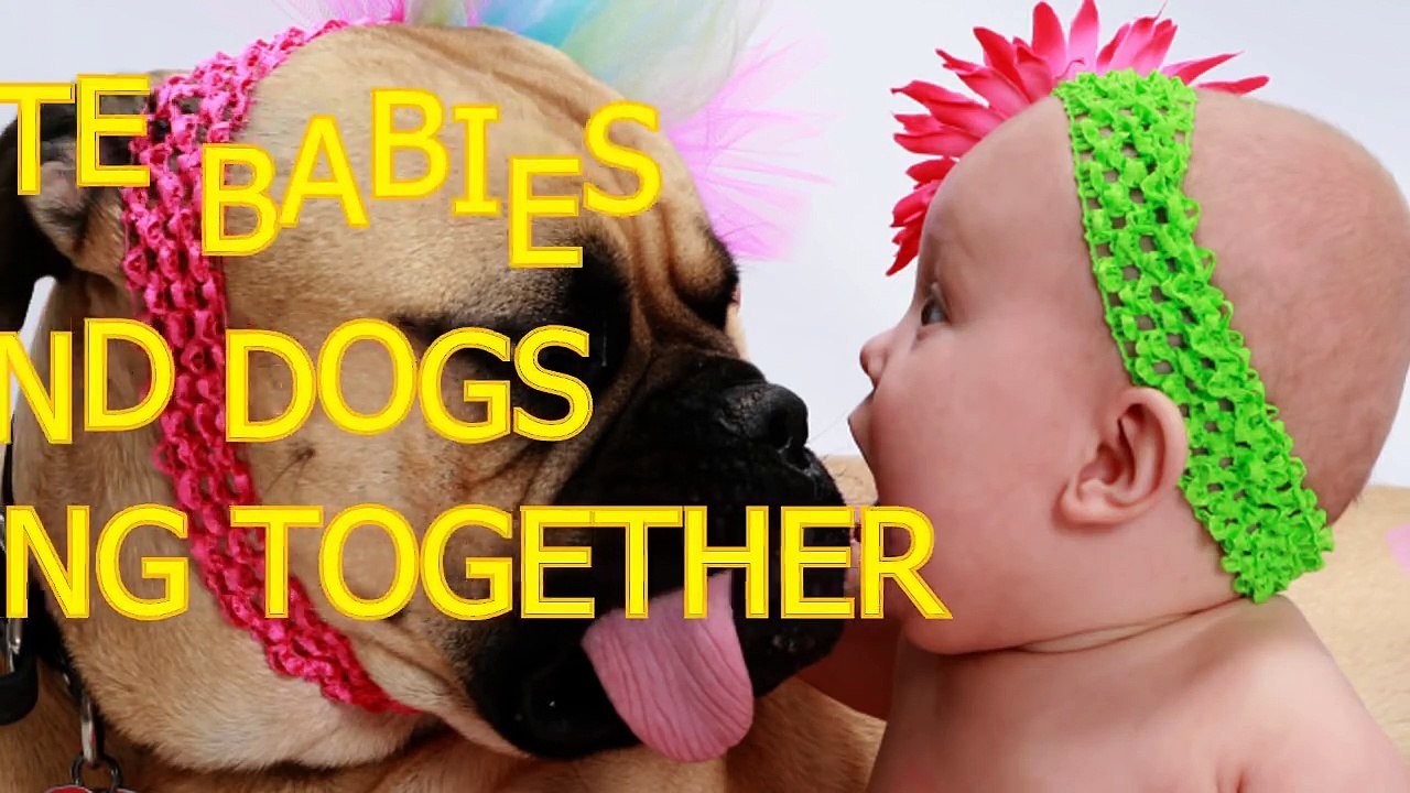 Cute babies and dogs playing together - Funny baby & dog compilation