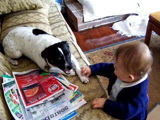 Cute Baby & Dog Interactions