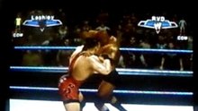 rob van dam vs bobby lashley