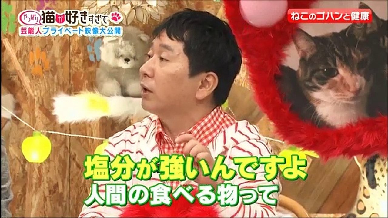 SMAP×SMAP (5月23日)