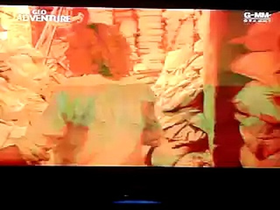 NAT GEO Adventure Promo The frankincense tail