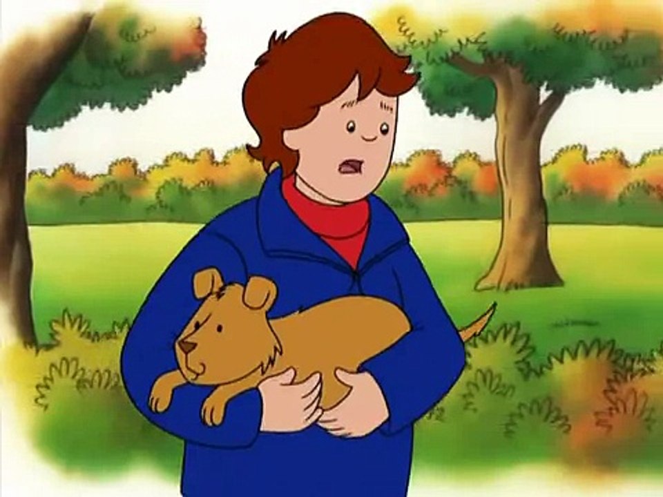 Caillou 2x05 Perdido Y Encontrado  - Caillou en español capitulos completos