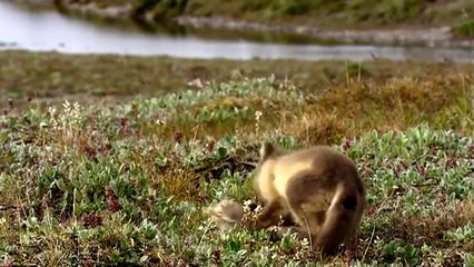 New Best Club Party Dance Summer House Music Mix 2016 - CLUB MUSIC ACBD (28)