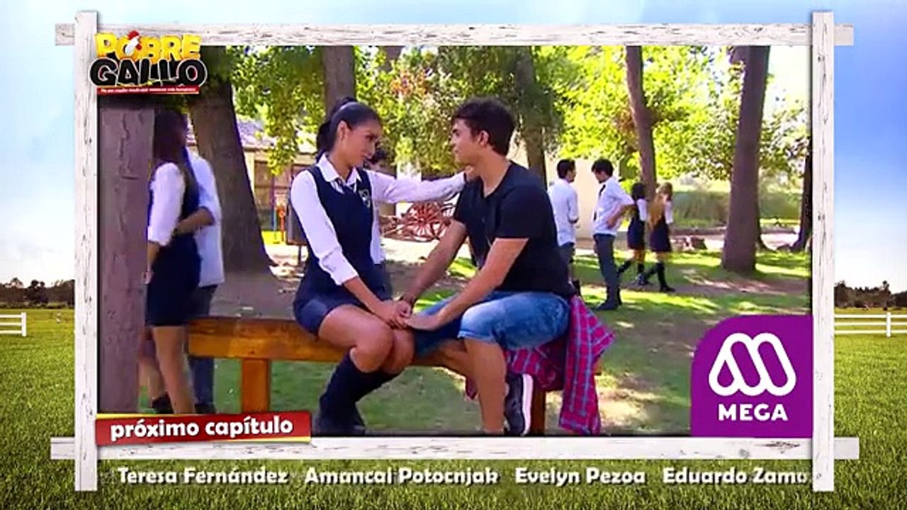 97 Avance Pobre Gallo