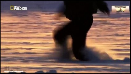 New Best Club Party Dance Summer House Music Mix 2016 - CLUB MUSIC ACBD (10)