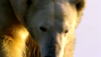 Sports Vines May 2016 With Titles And Song Names CBSC (30)