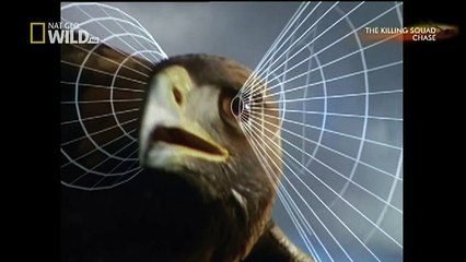 TV Reporter Shot Dead Live On Air! SHOCK FOOTAGE (31)