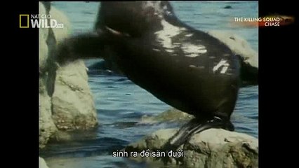 Tesla Model X Redefines the SUV (40)