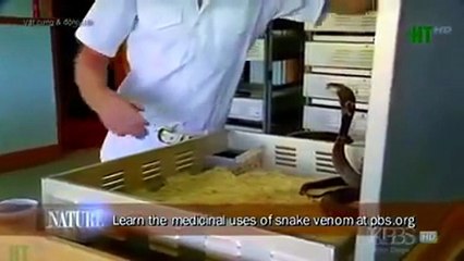 Tesla Model X Redefines the SUV (41)