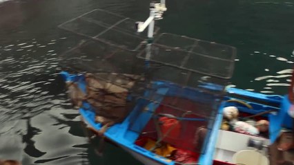 La increíble mascota de este niño, nunca lo ibas a imaginar