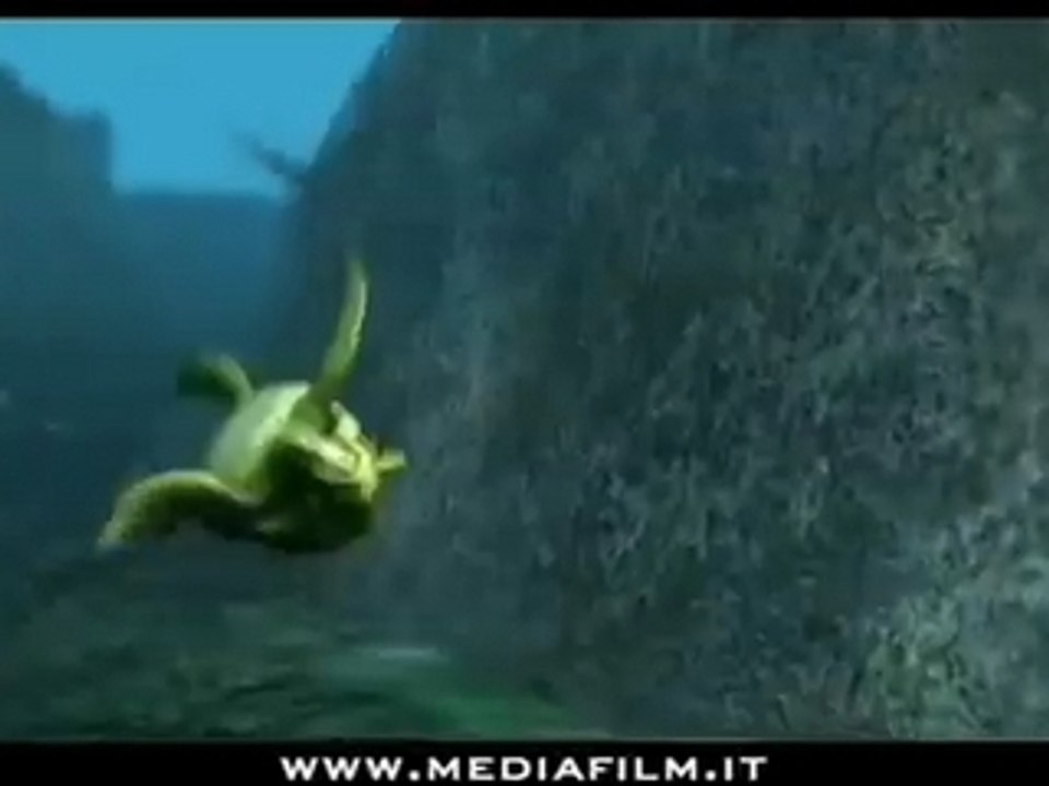 TheReef - Amici per le Pinne