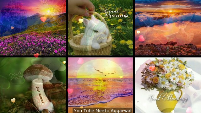 Good Morning Greetings,Wishes,Quotes,Sms,Saying,E-Card,Wallpapers,Good Morning Whatsapp Video