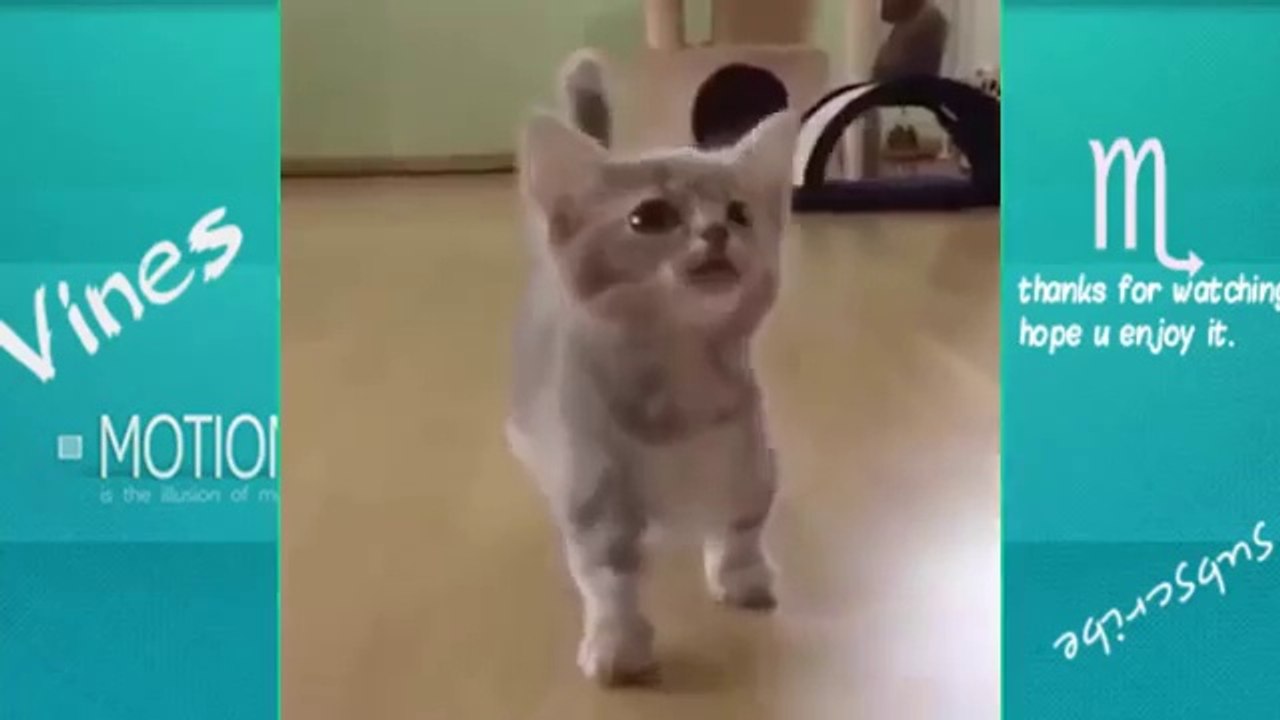 TRY NOT TO LAUGH (IMPOSSIBLE CHALLENGE) New 2016