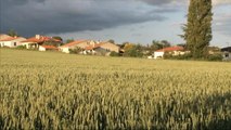 En Haute-Garonne, un arrêté municipal interdit l'utilisation de produits phytosanitaires - Le 24/05/2016 à 07h10