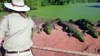 Crocodile bites foot off another crocodile