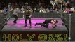 WWE 2K16 sgt slaughter v undertaker