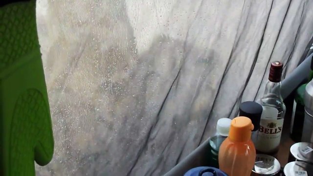 2 lions lèchent l'eau sur la tente de campeurs encore à l'intérieur... Le flip !