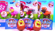 Nickelodeon Paw Patrol episode, Marshal Sky & Zuma rescue Kinder Surprise Eggs Winnie the Poo