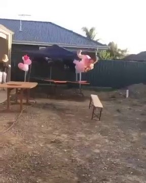 Se jeter sur un banc pour une prise de catch... FAIL !! Le banc ne se cassera pas...