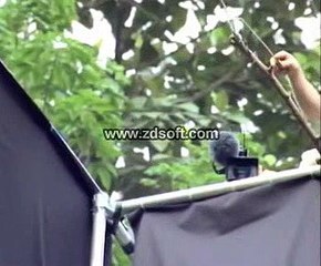 Incredible Flying Snake 2016