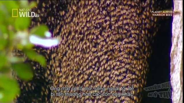 New Best Club Dance Music Mashups Remixes Mix 2016 News (6)