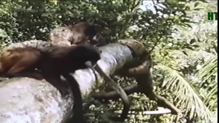 New Best Club Dance Music Mashups Remixes Mix 2016 News (12)