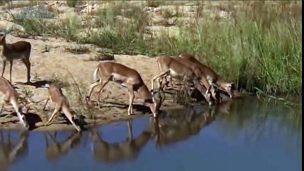 Classical Music for Studying and Concentration (28)