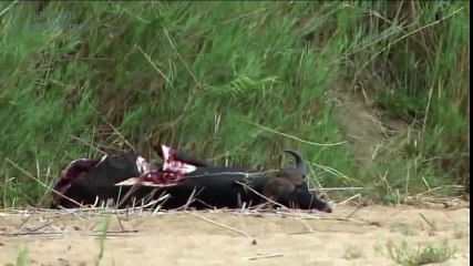 Classical Music for Studying and Concentration (34)