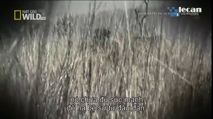 Sports Car Monster Truck (20)