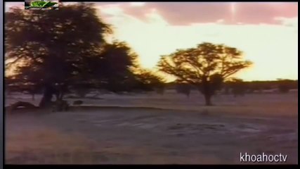 Top 10 Worst As Seen on TV Items Ever (12)