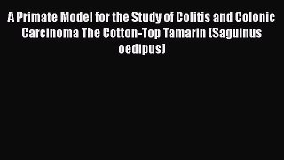 Download A Primate Model for the Study of Colitis and Colonic Carcinoma The Cotton-Top Tamarin