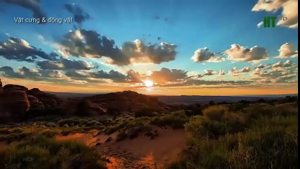 Top 10 Worst As Seen on TV Items Ever (20)