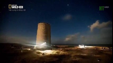 Top 10 Worst As Seen on TV Items Ever (36)