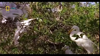 Travel Vietnam  GoPro Hero  Black  ACBD (35)