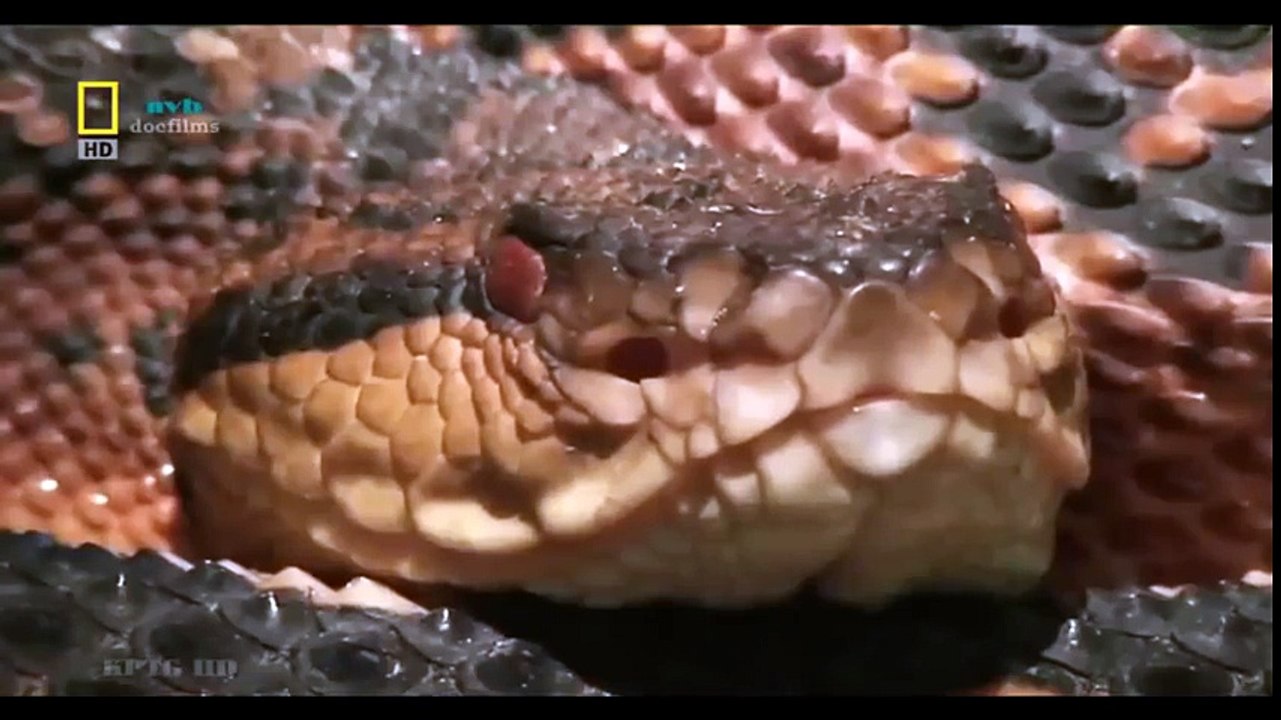 Travel Vietnam  GoPro Hero  Black  ACBD (38)