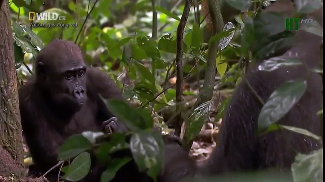 Travel Vietnam  GoPro Hero  Black  ACBD (43)