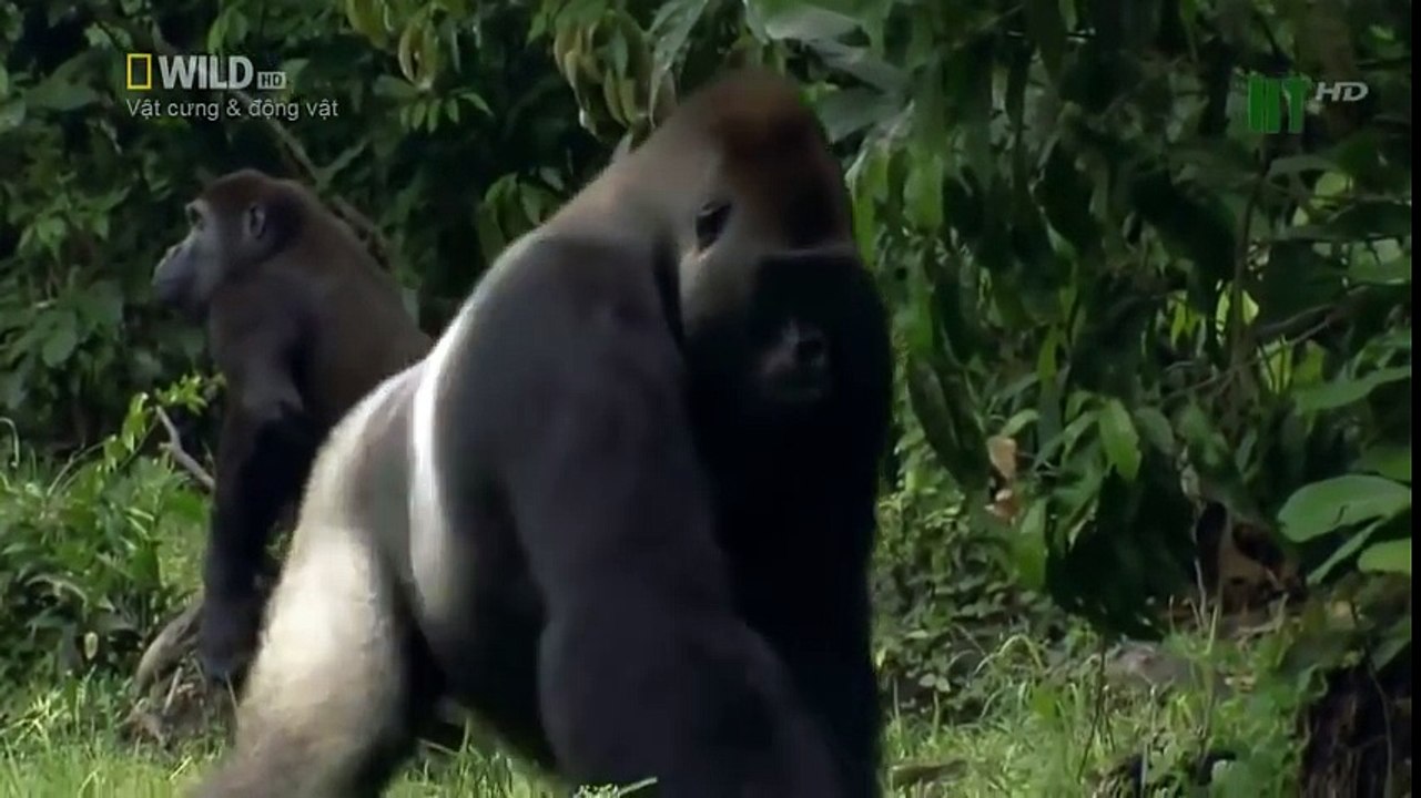 Travel Vietnam  GoPro Hero  Black  ACBD (44)