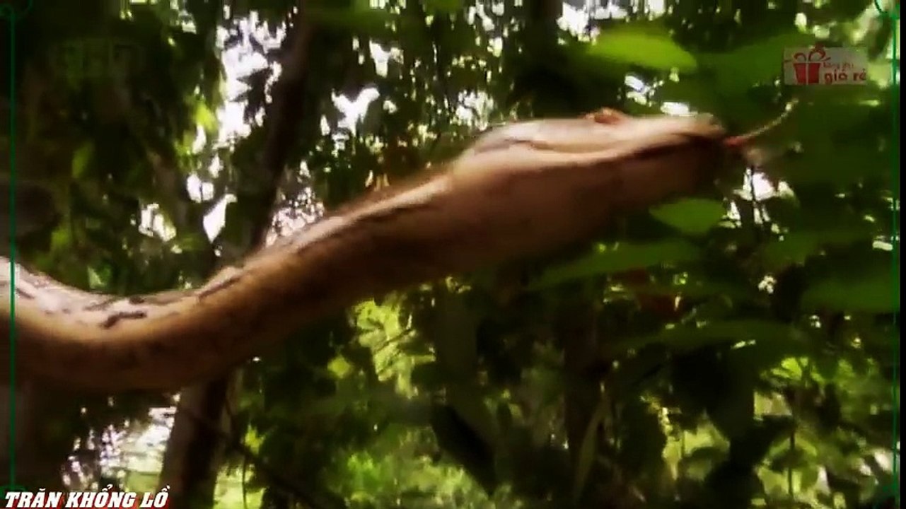 Travel Vietnam  GoPro Hero  Black  ACBD (49)