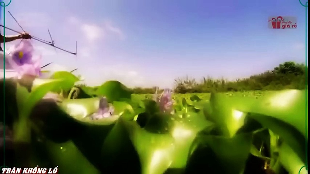 Travel Vietnam  GoPro Hero  Black  ACBD (52)