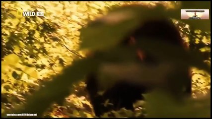 Logitech Webcam Comparison (32)