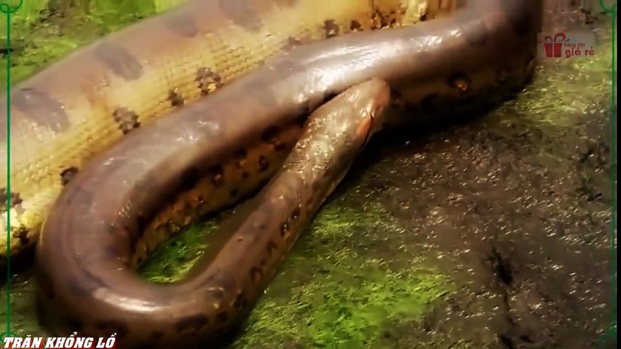 Travel Vietnam  GoPro Hero  Black  ACBD (58)