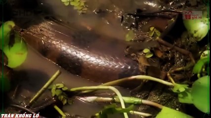 Travel Vietnam  GoPro Hero  Black  ACBD (60)