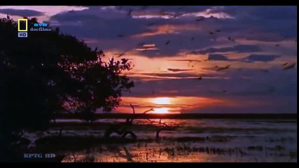 Logitech Webcam Comparison (36)