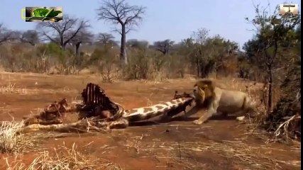 Travel Vietnam  GoPro Hero  Black  ACBD (64)